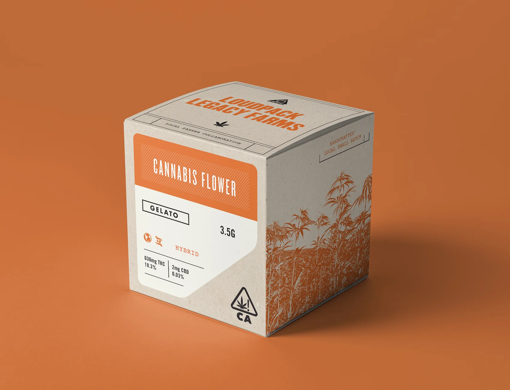 Scout-MockUp_1.1.jpg