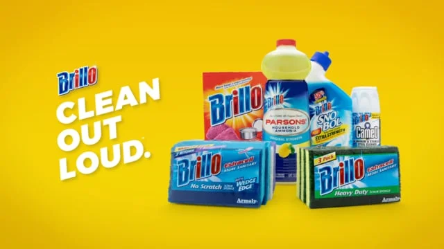 Brillo: RinseThis 15