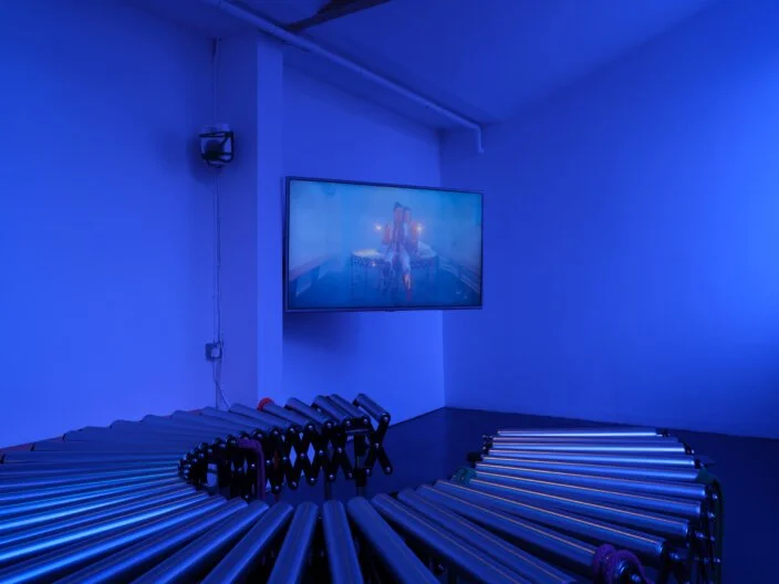 Catinca-Malaimare-Gamma-and-Omega-hold-hands-2023-installation-documentation-Zabludowicz-Collection.-Photo-Tim-Bowditch-2.jpg