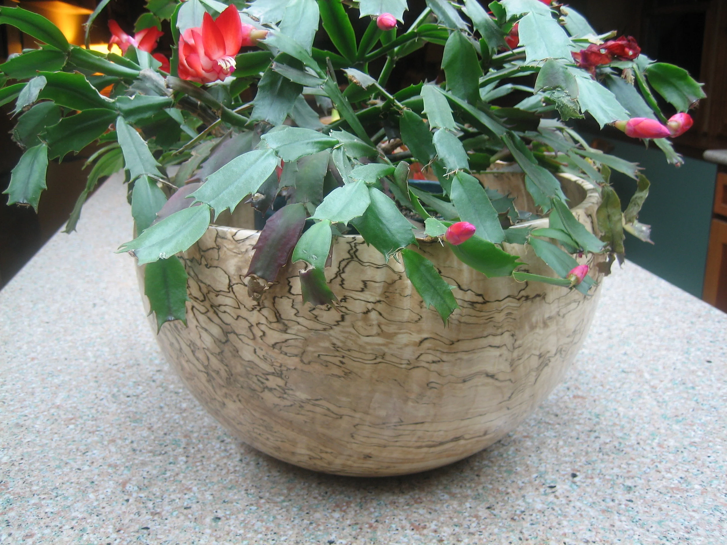 Large spalted maple bowl as a planter (just use a plastic insert).