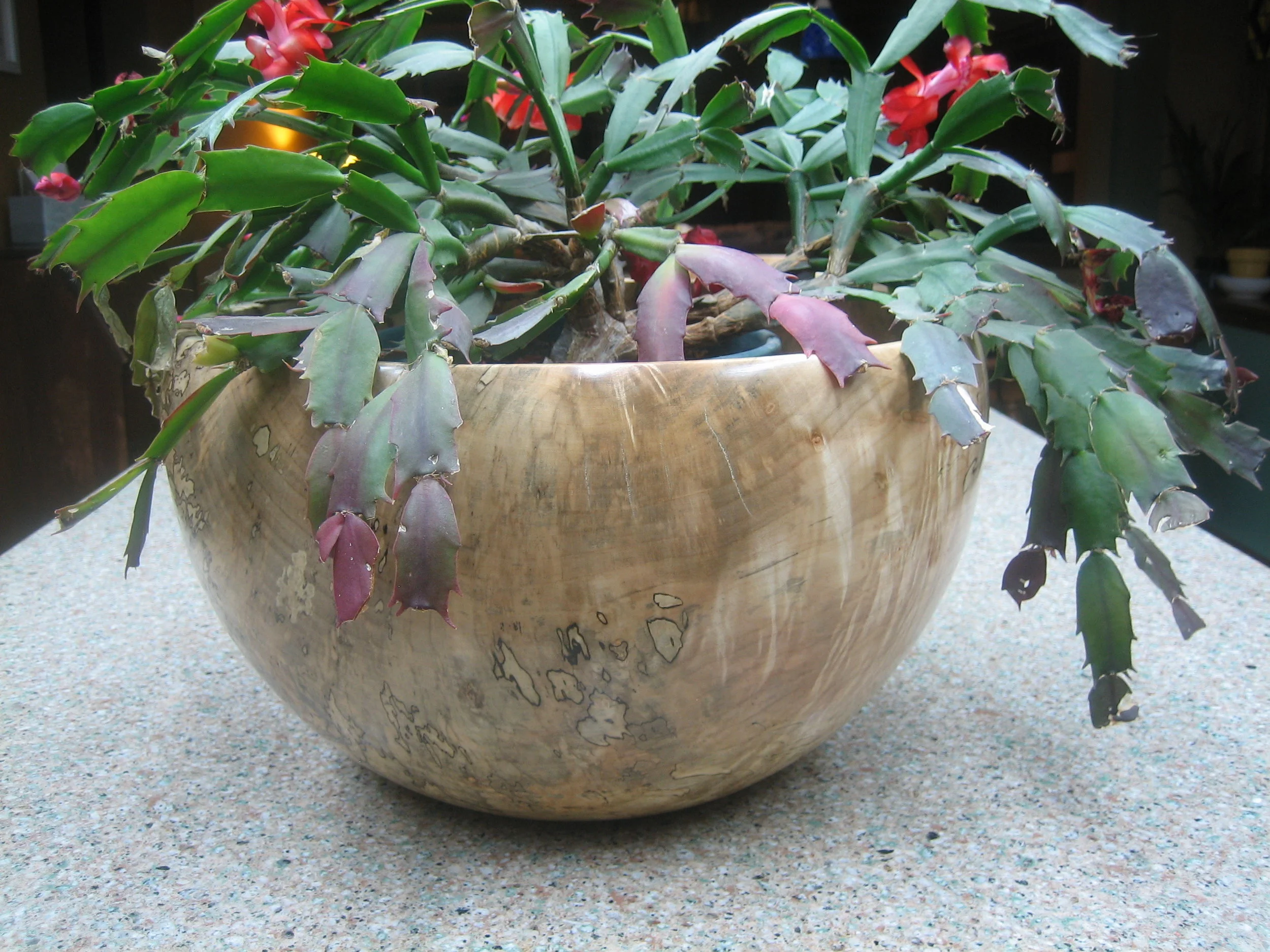 Spalted Maple Bowl