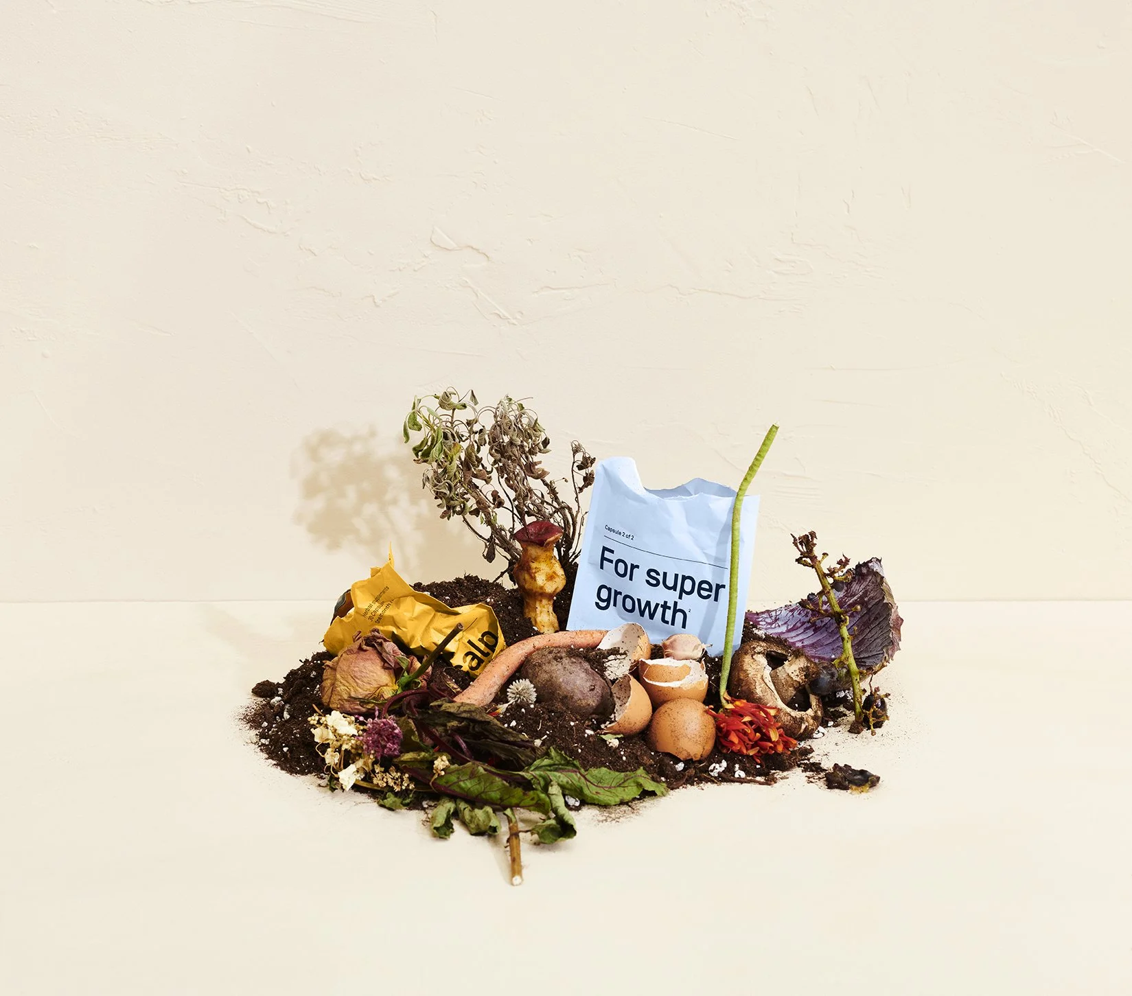 SHOT_3_REFILL_COMPOST_2_005_MAIN_3135_PROSE_SupplementRefillsStillLife_A.jpg