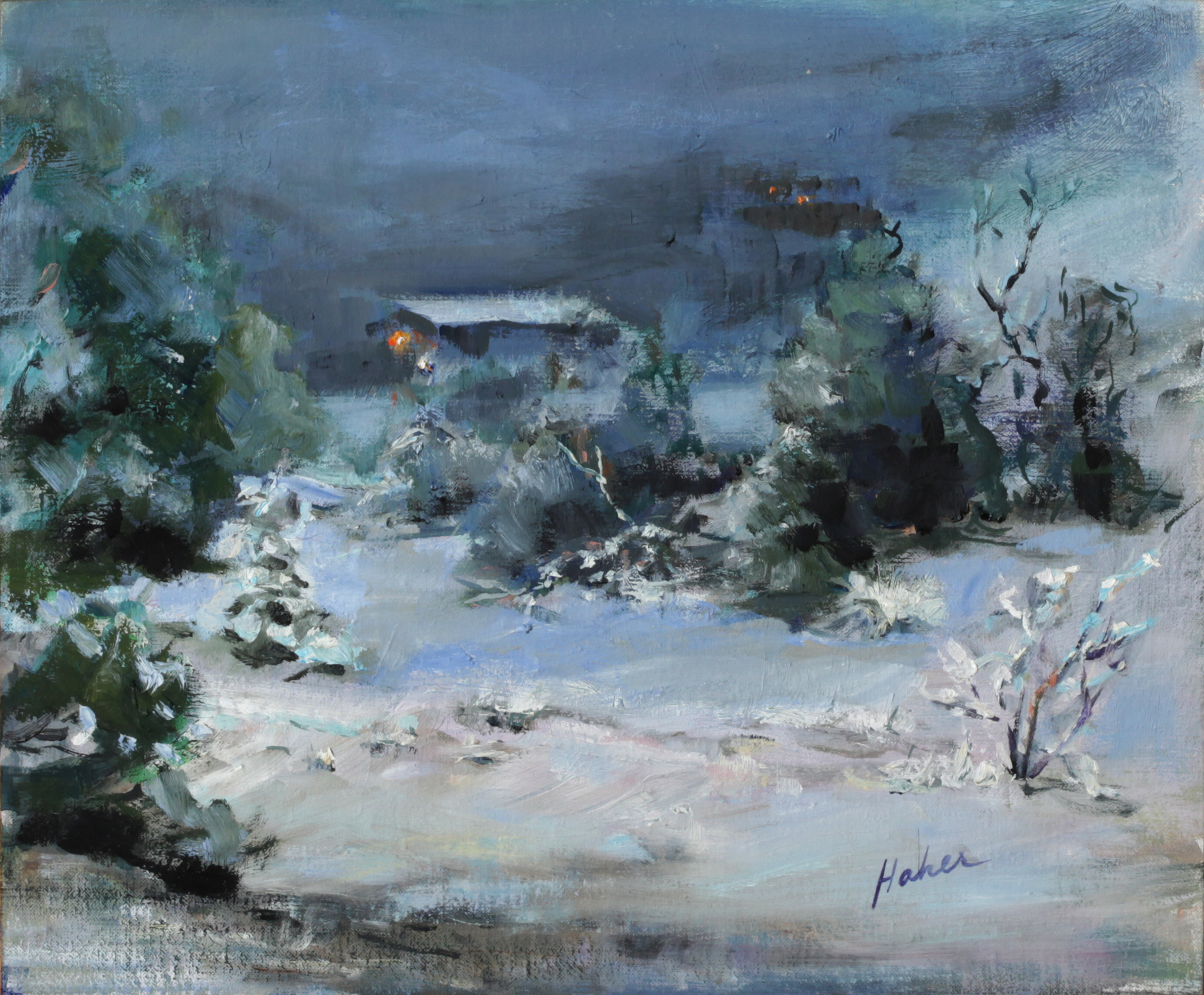 Night on the Snow