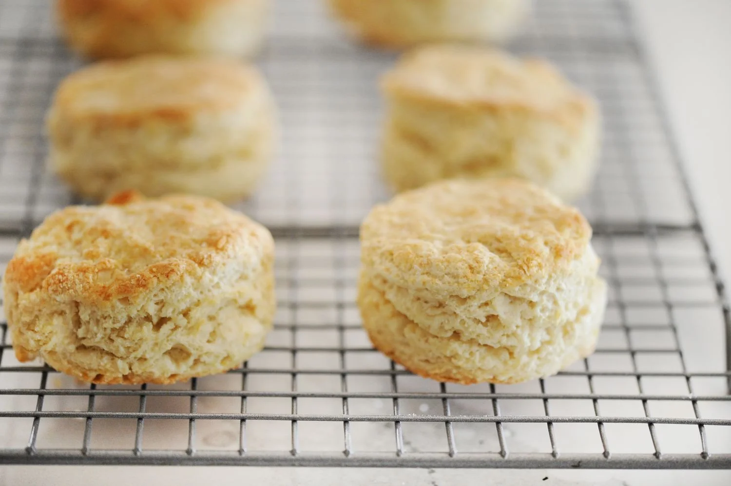 English-Scones-LEAD-8-90008da7a67647a28167ca760d211262.jpg