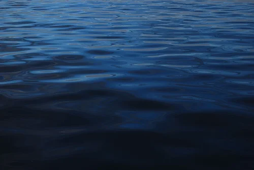 Sea2.jpg