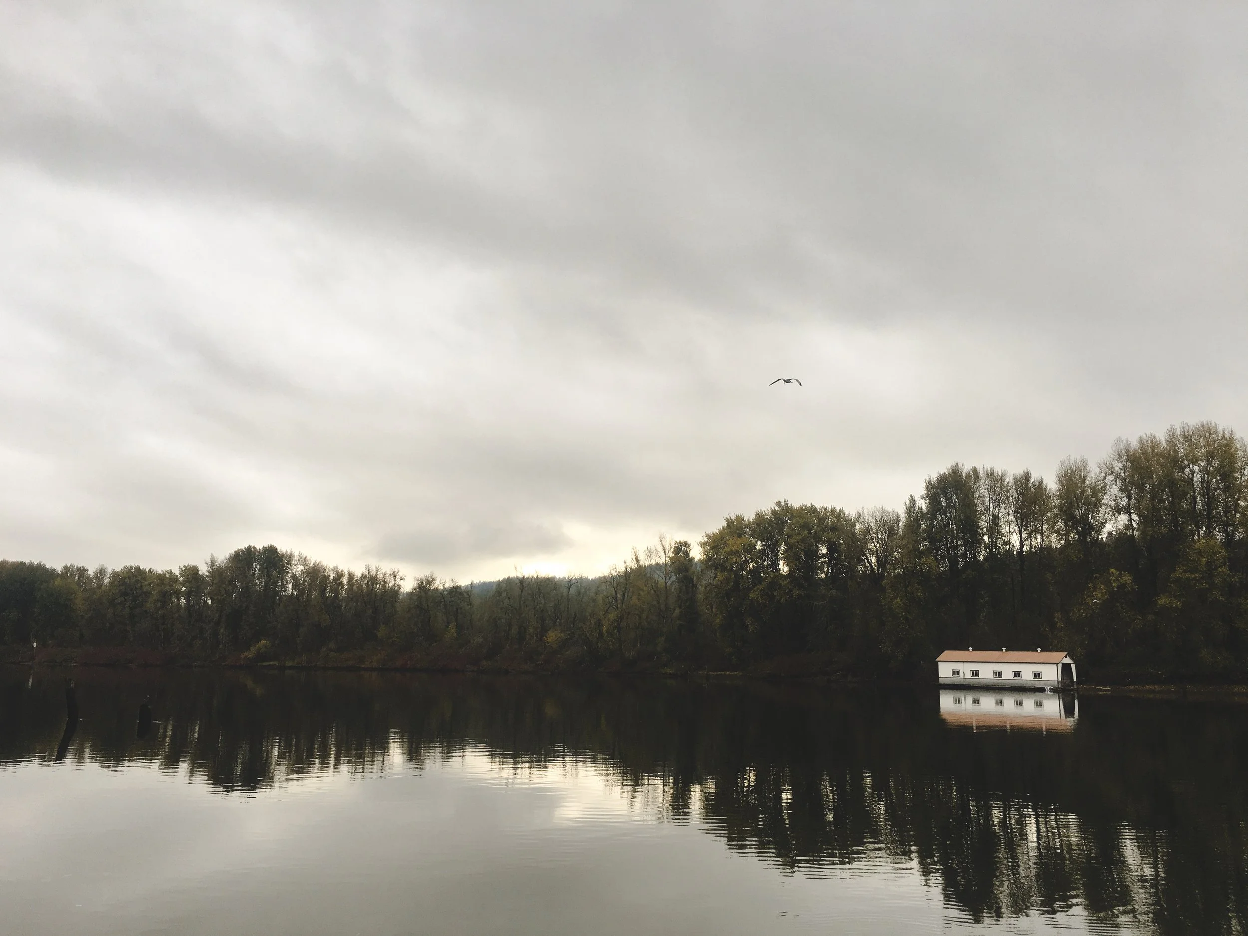 flexibility in rigidity 