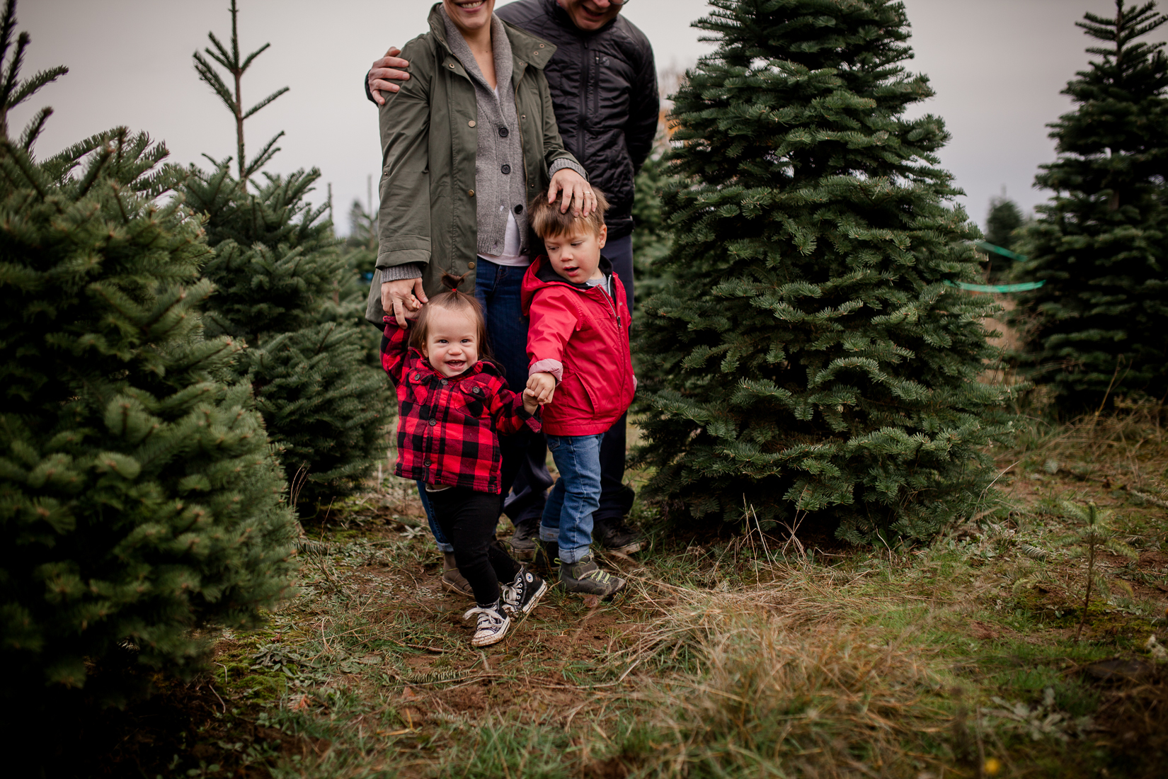 Mayas_Christmas_2017-3.jpg