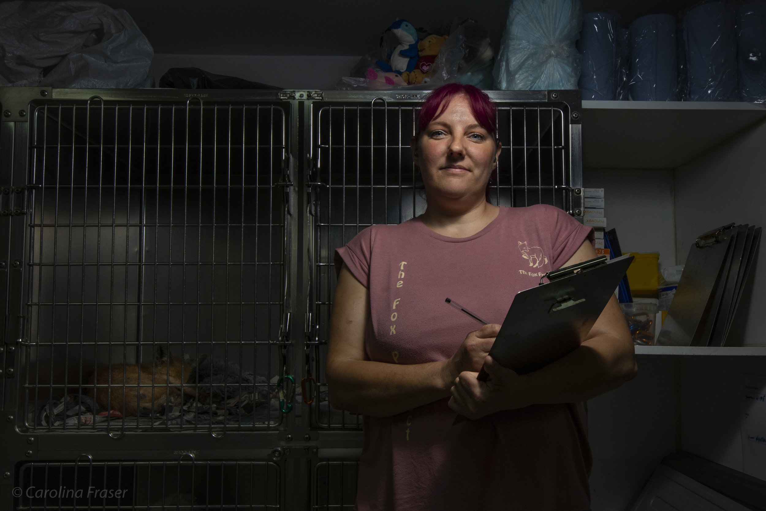  The Fox Project has two ambulances that are used to rescue and transport foxes. Taz Kenward is one of the ambulance drivers. She works with colleagues, volunteers and interns to treat around 800 foxes every year.    