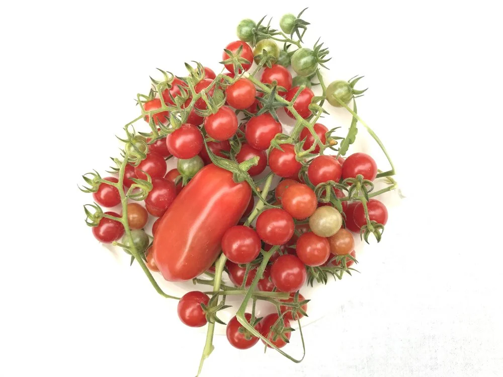 Tomato. Toh-mah-toe. 
