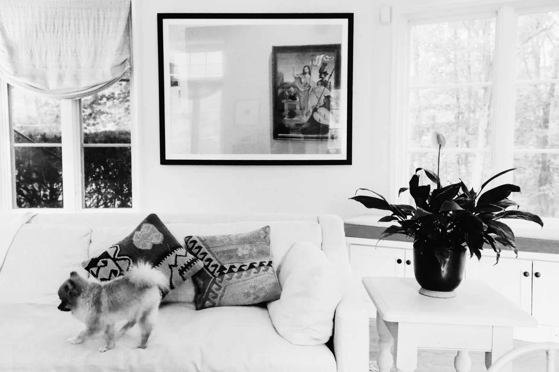 Belmont Room Bliss