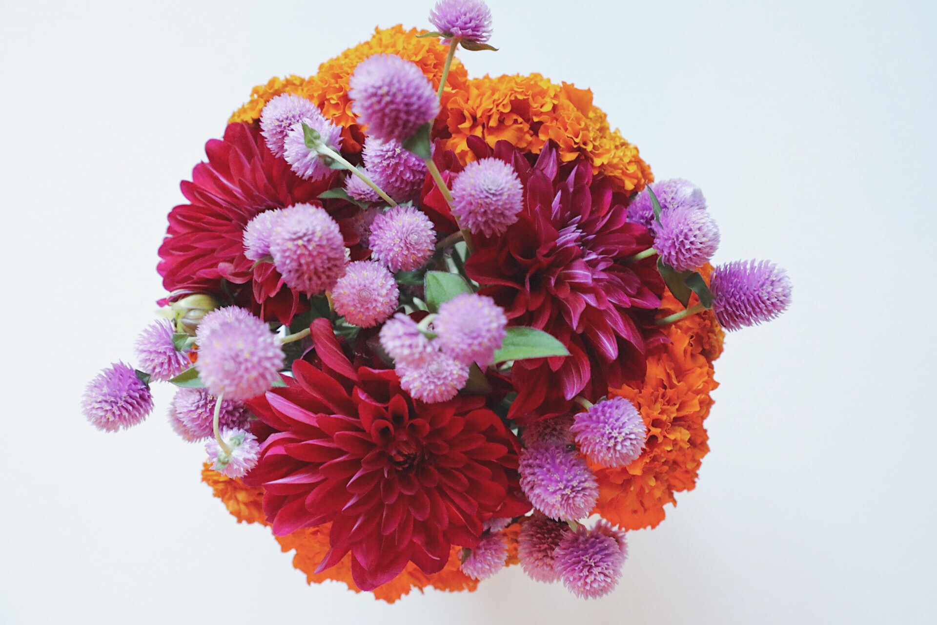 The Power of Flowers