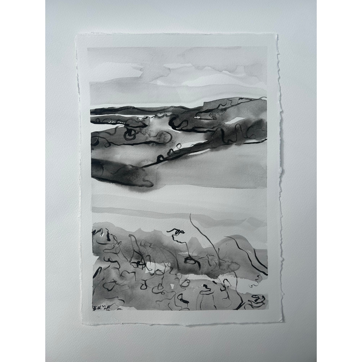 Untitled design (12).png