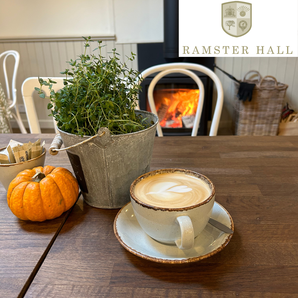 AUTUMNAL STILL LIFE: Ramster Garden, Chiddingfold - 14th Oct (1hr)