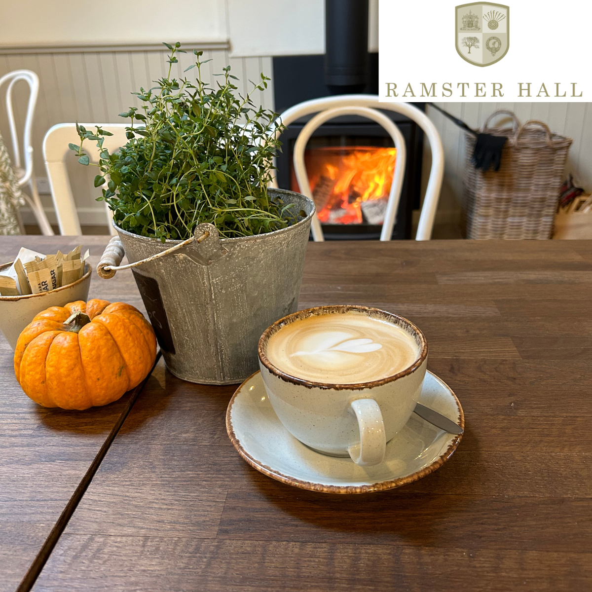 RAMSTER GARDEN AUTUMNAL STILL LIFE WORKSHOP: 14th Oct in Chiddingfold (1hr)