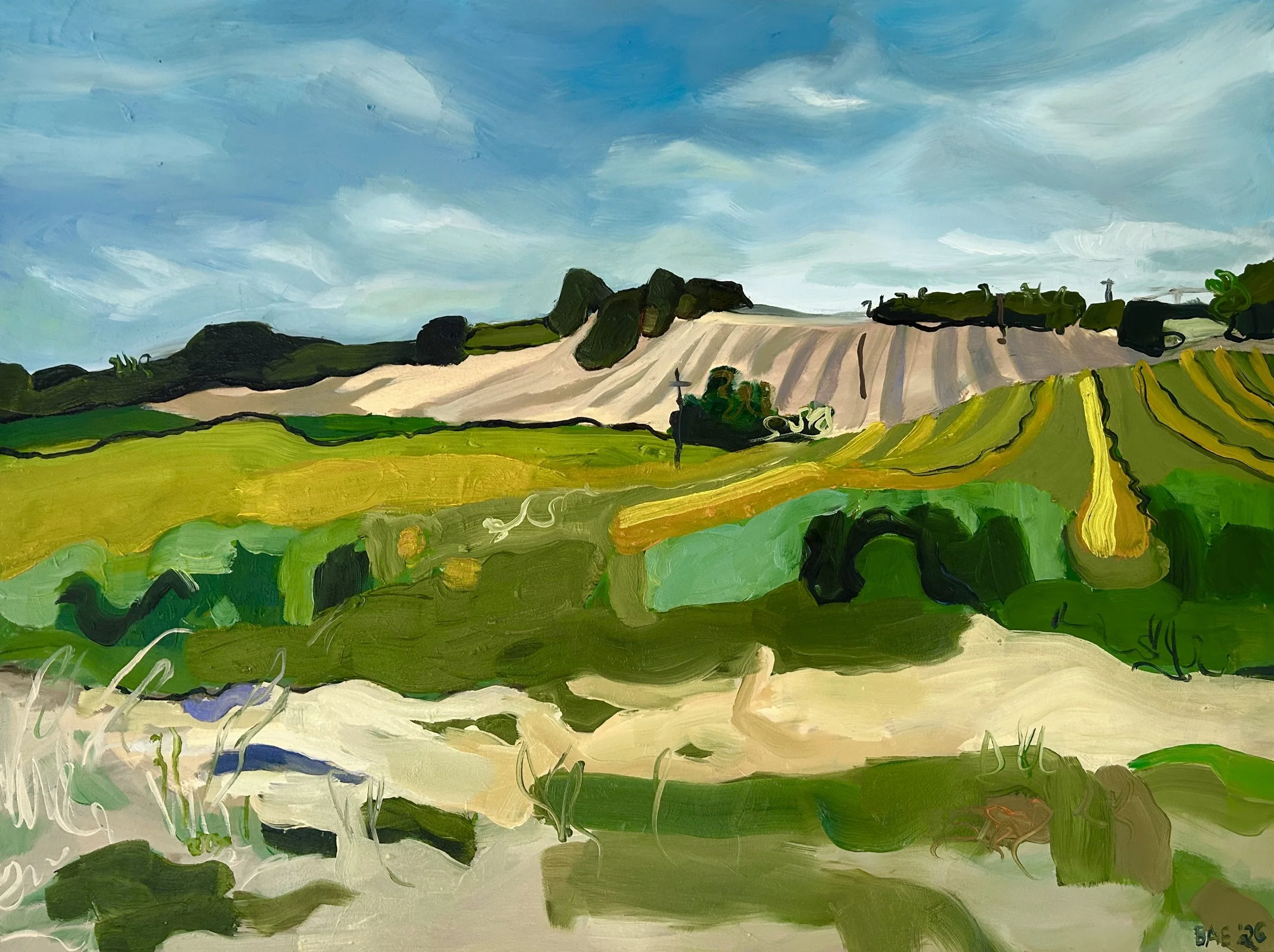 12. Back Wall_Fill My Lungs.jpg