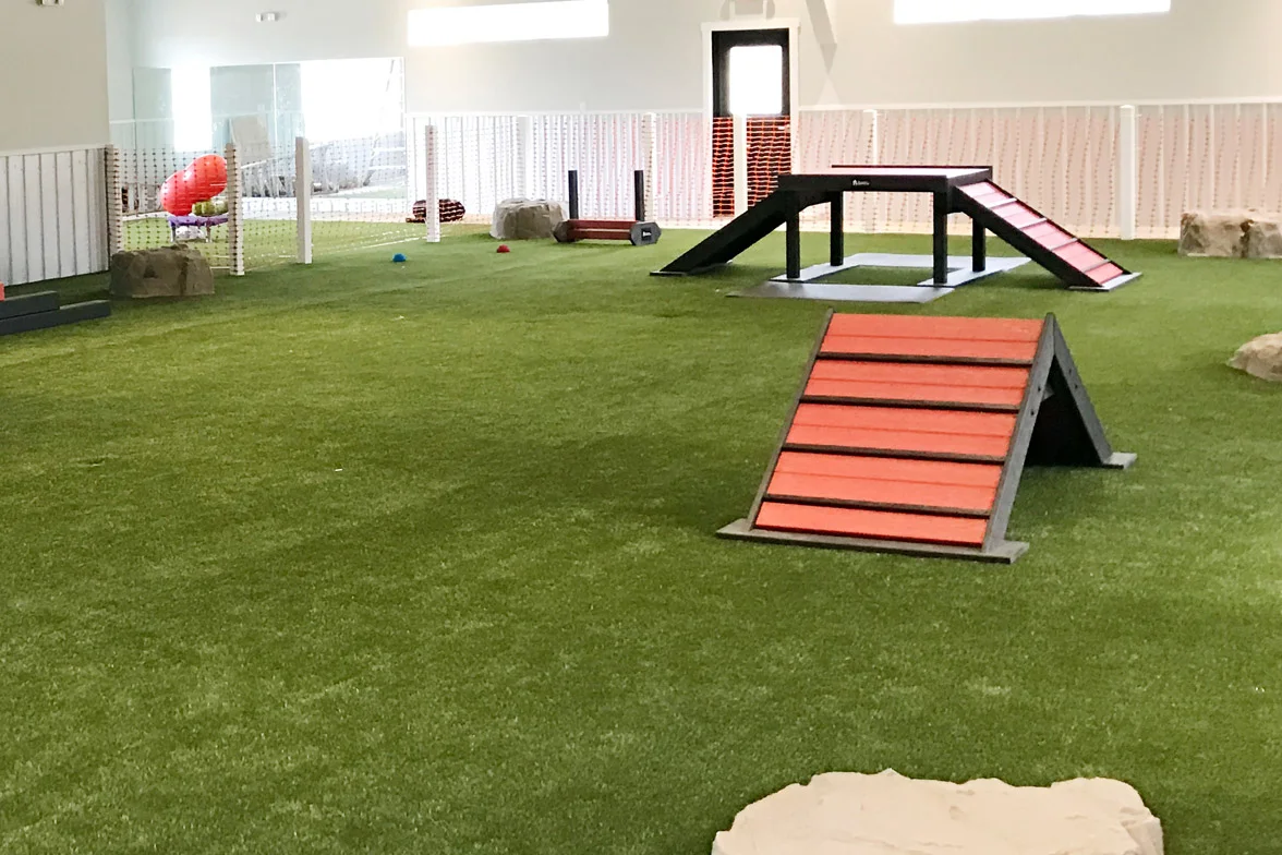 Dog Park Surfaces Dog Park Playgrounds — Dog Park Playgrounds
