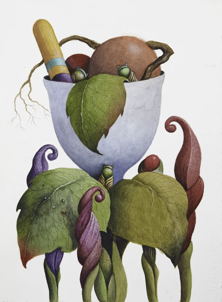 Roger Bowman Magic Garden Watercolor and gouache on paper 15 x 11” RB231