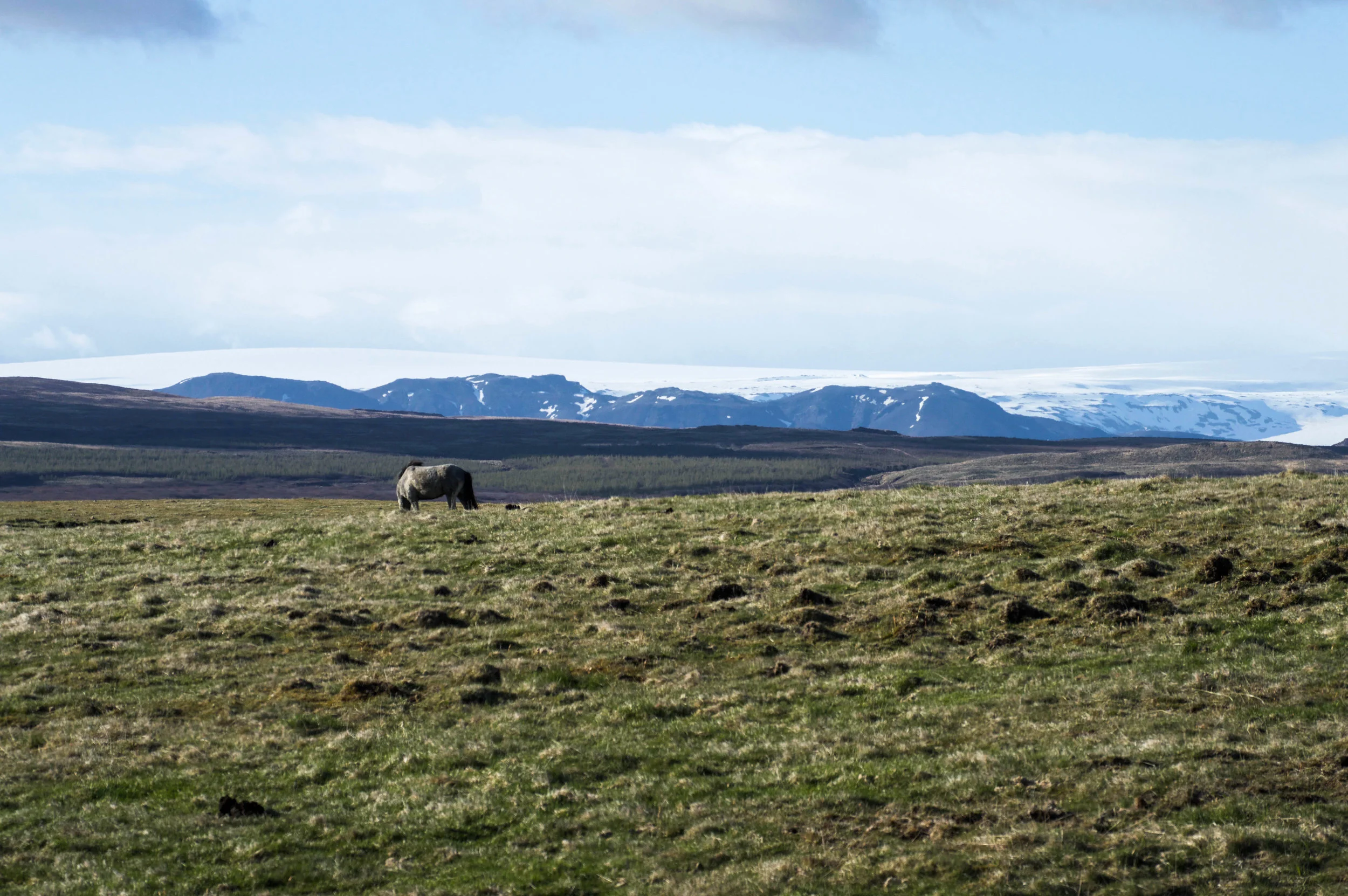 DSC_0395.jpg
