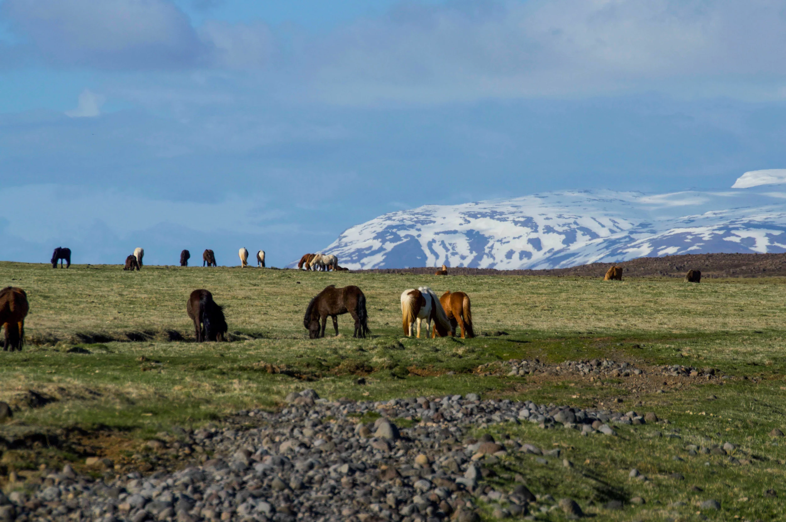 DSC_0397.jpg