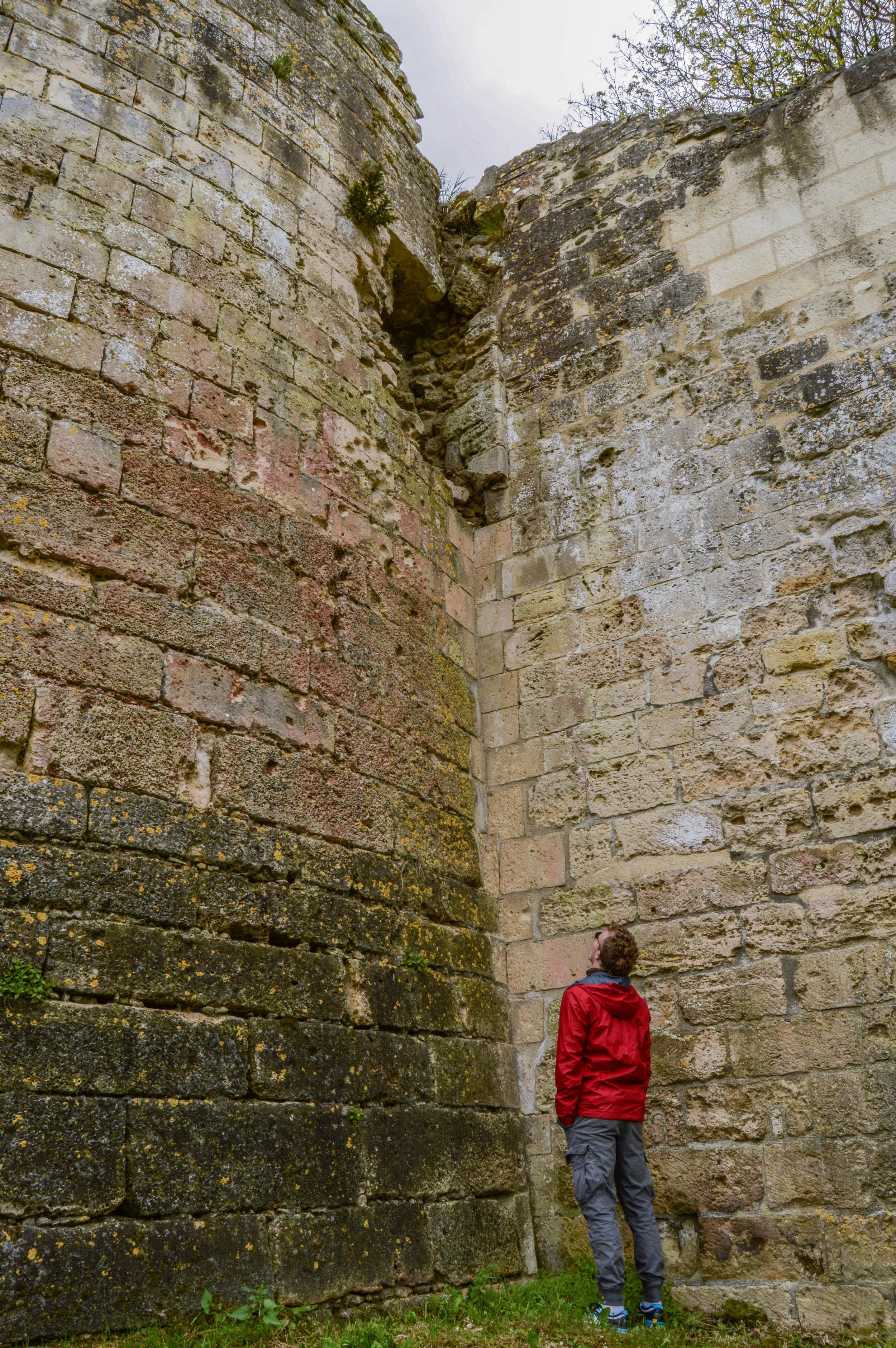 DSC_0181.jpg