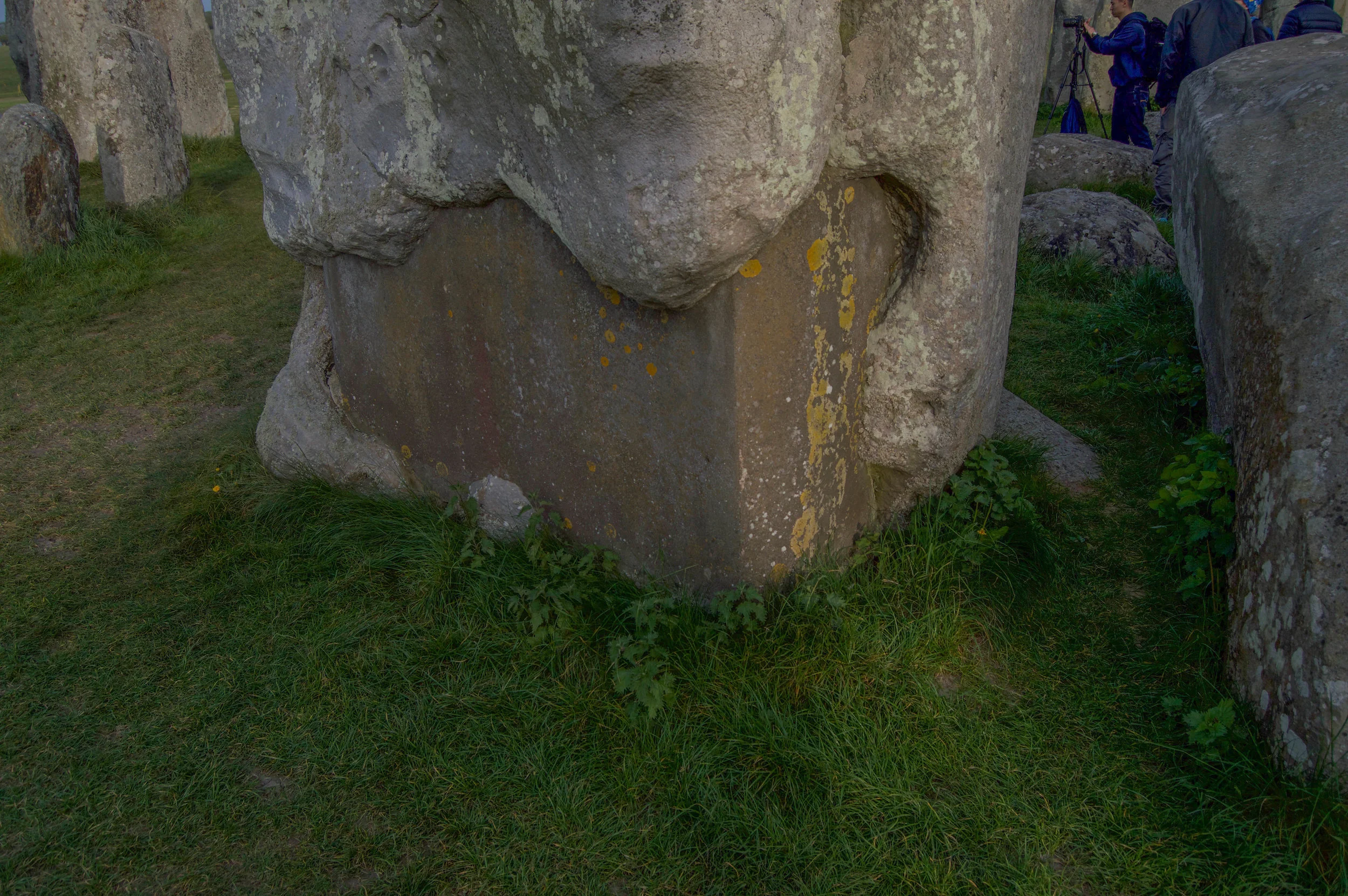 DSC_0119.jpg