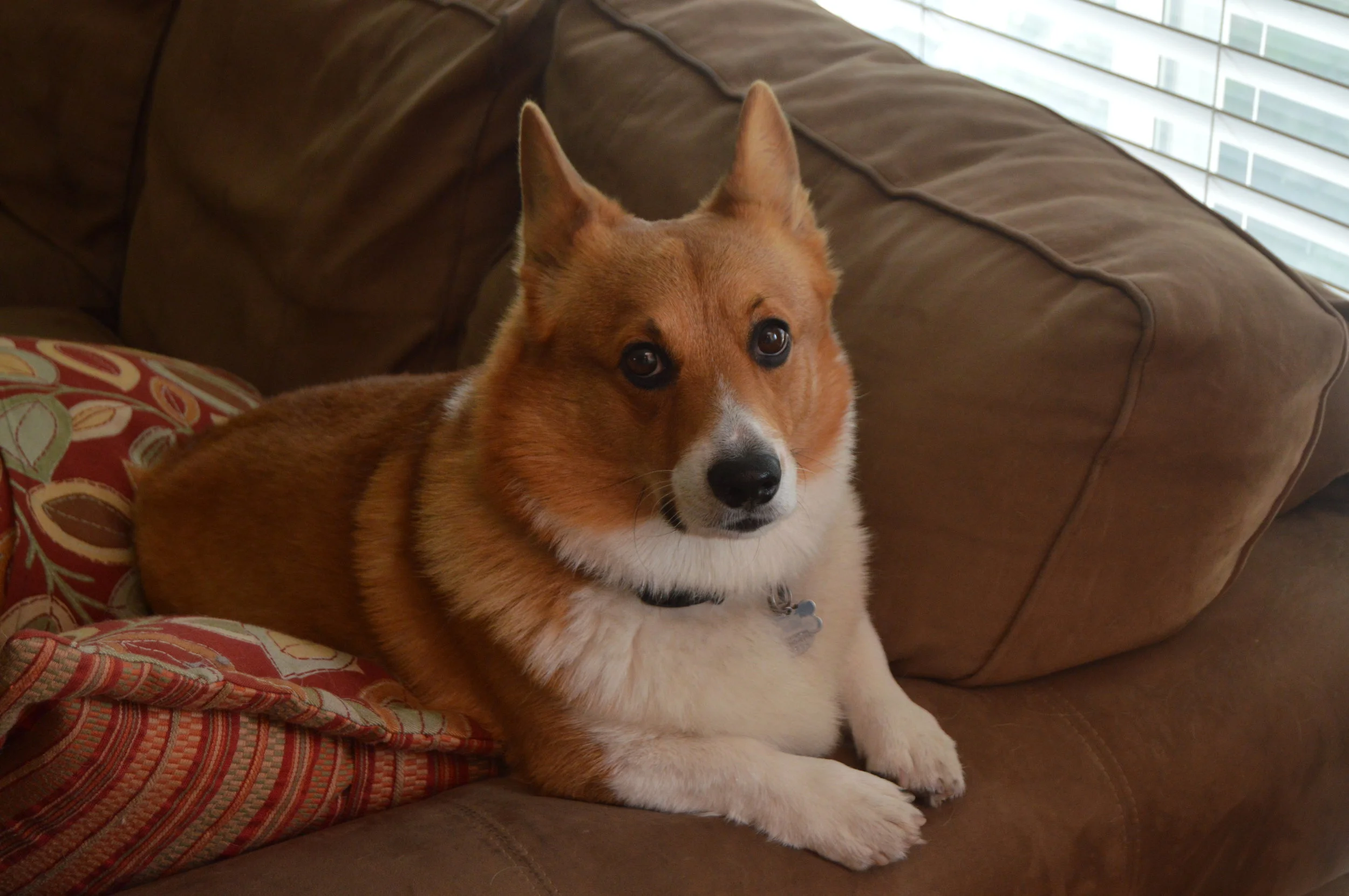 DSC_0023.JPG