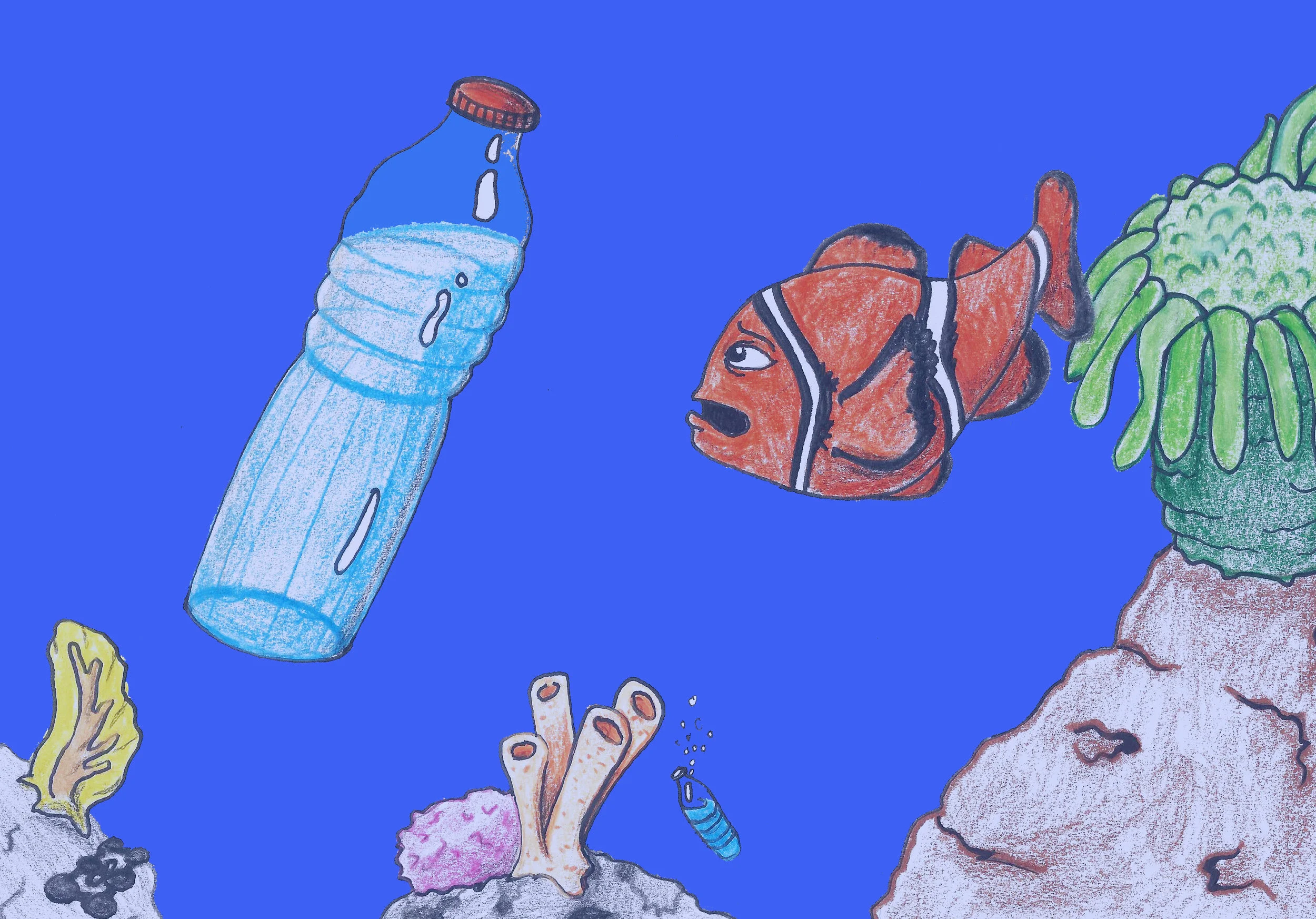 Fish_in_the_Sea copy.jpg