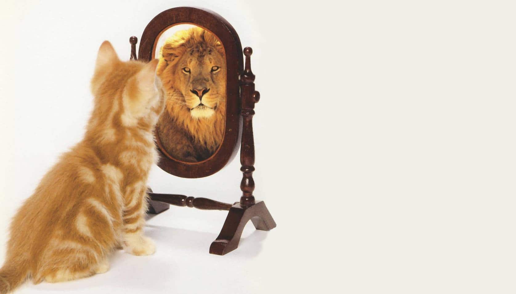 look in the mirror.jpeg