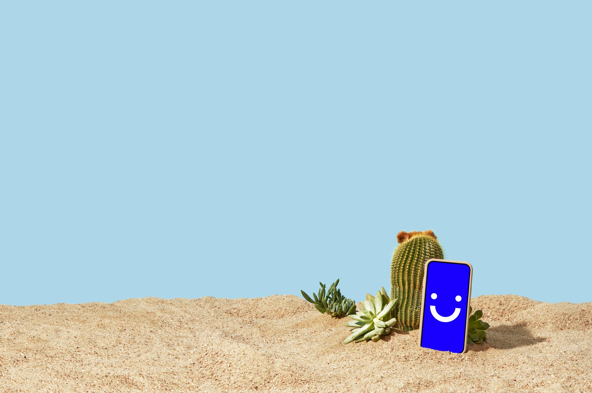 VSBLQ2_PhoneStillLife_Summer1_2213_02.jpg