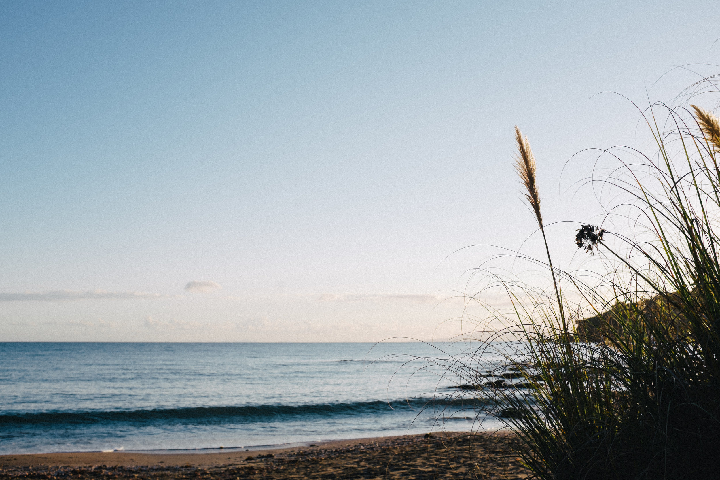 Grass Sunrise.jpg