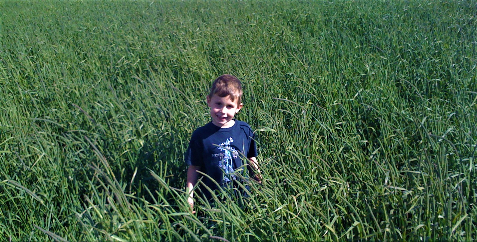My children have grown up knowing what it takes to produce the food we eat. They know our food doesn't originate in grocery stores; it starts with seeds p[anted in fields that are nurtured by the hands of hard-working farmers and agricultural workers whose labor feeds all of us. It is my hope for everyone that our shelves and stomachs are always full. Todd Hines, CEO