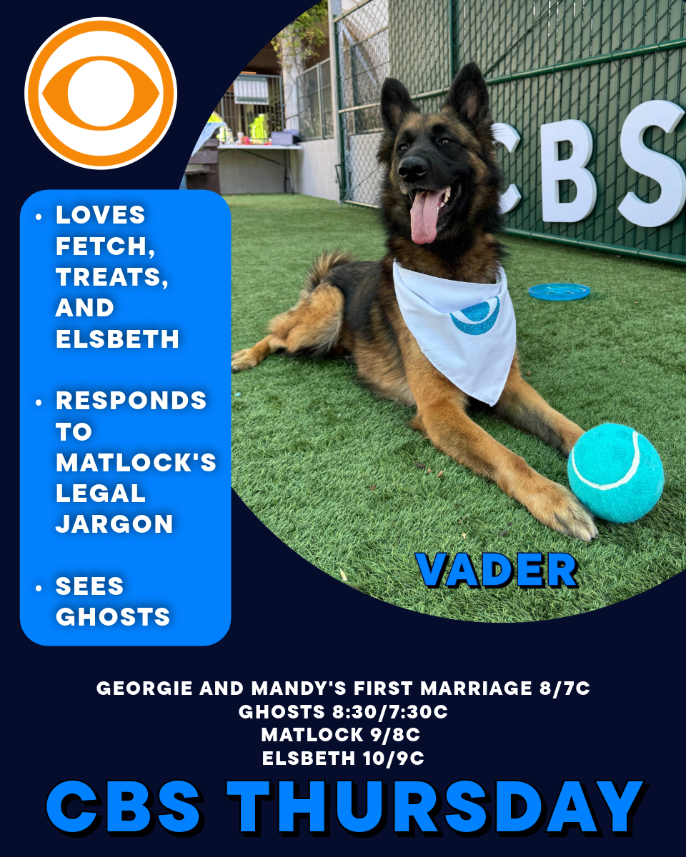 Dog Card 2V1.png