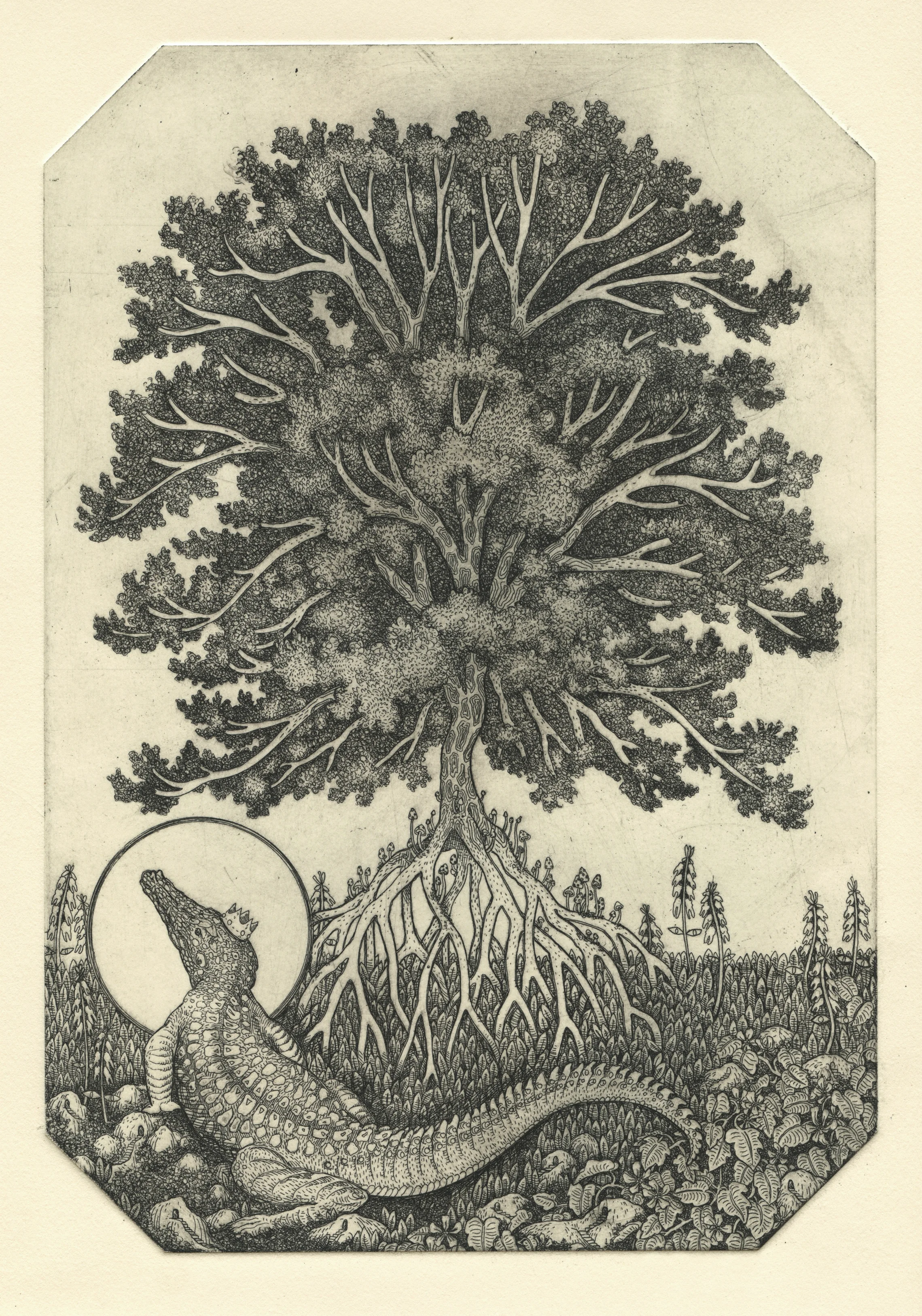 Etchings2017_homegrown.jpg