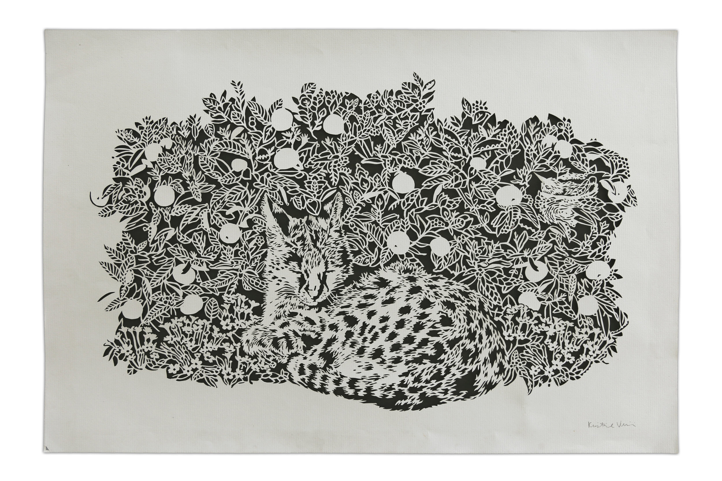   Wildcat  2018 Hand cut paper 10 3/4 x 17 in  Inquire  