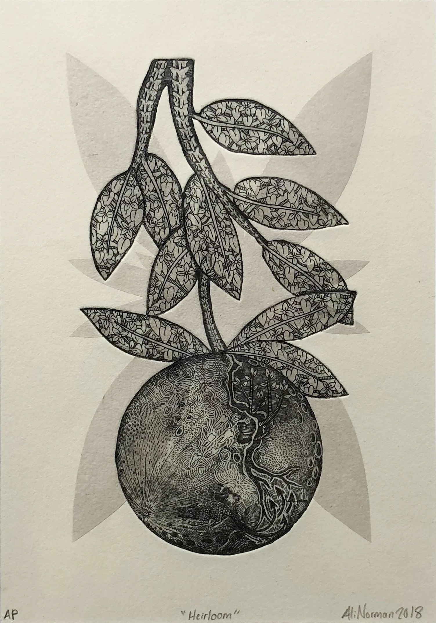 Heirloom 2018 Etching 11 1/2 x 8 1/2 in Inquire