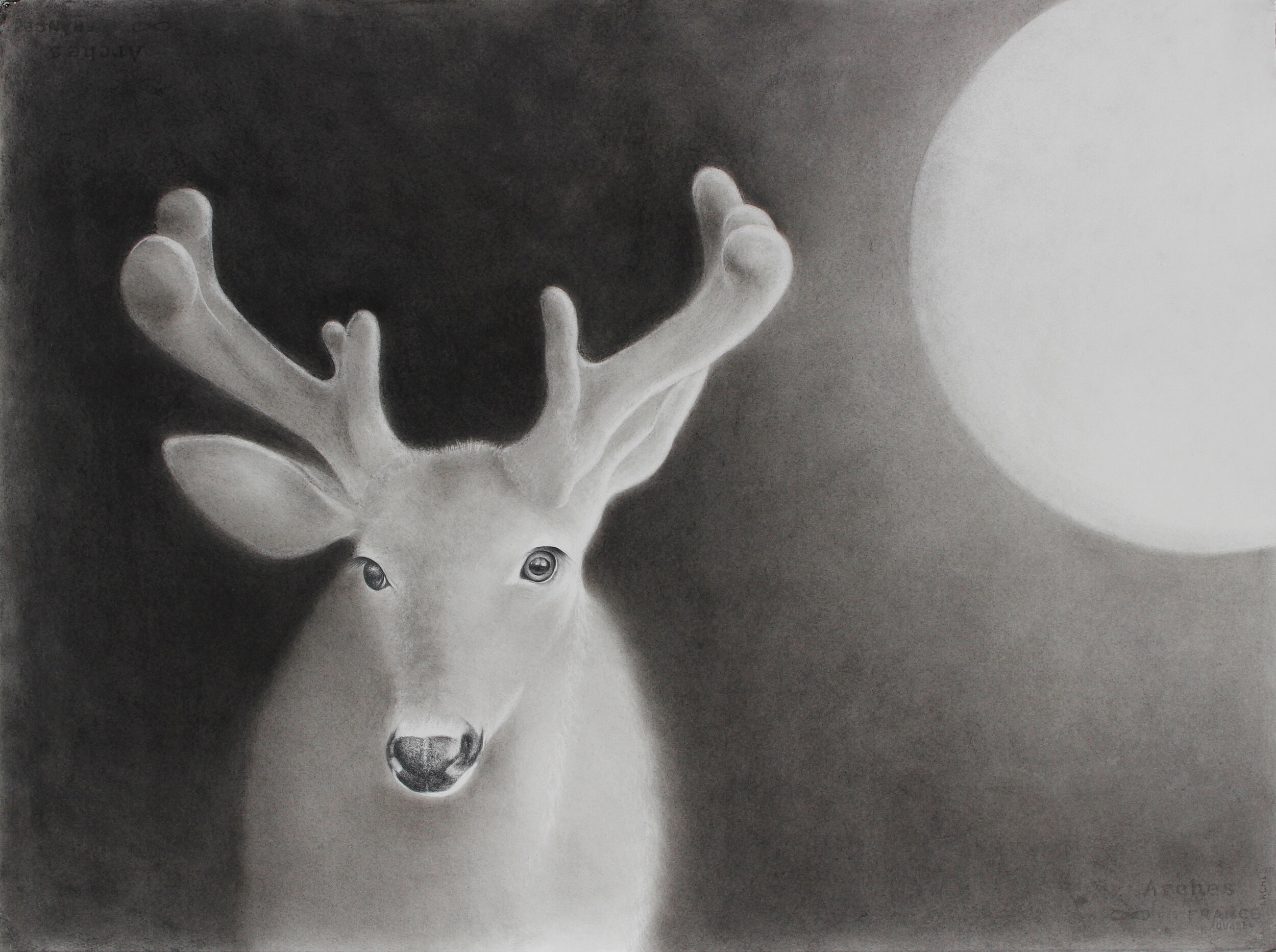 AmyRoss_%22BuckMoon%22 Graphite & charcoal on paper 26x34$3400.jpg