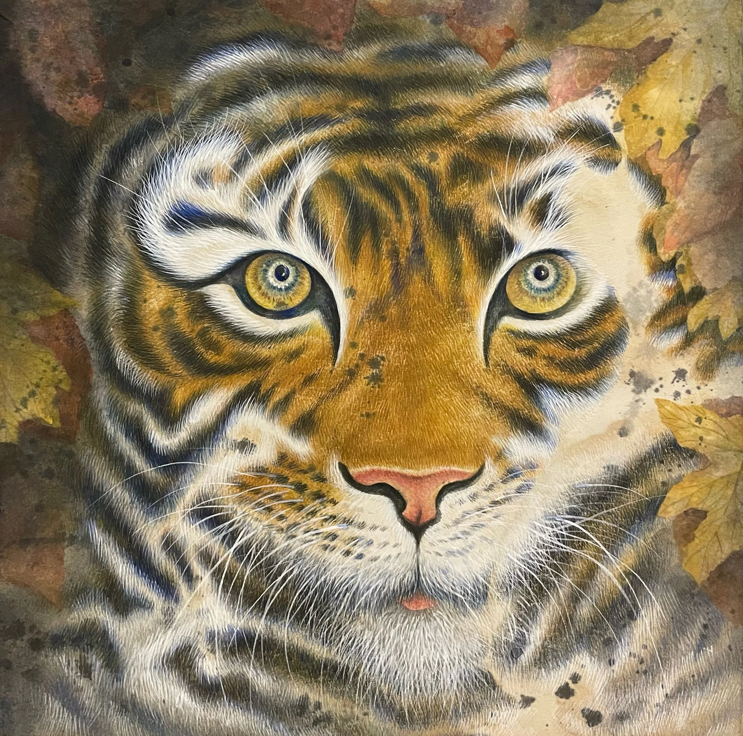 Tiger's Gaze, Hanji paper, 12x12%22 $1,300.jpeg