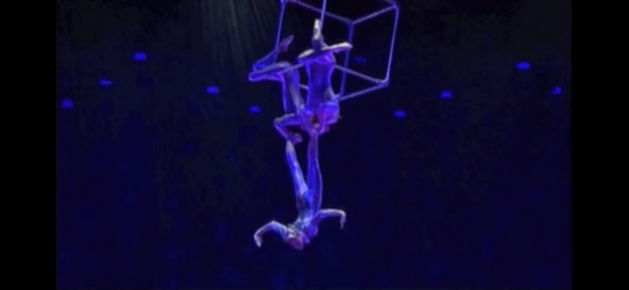 IMG_0284.PNG