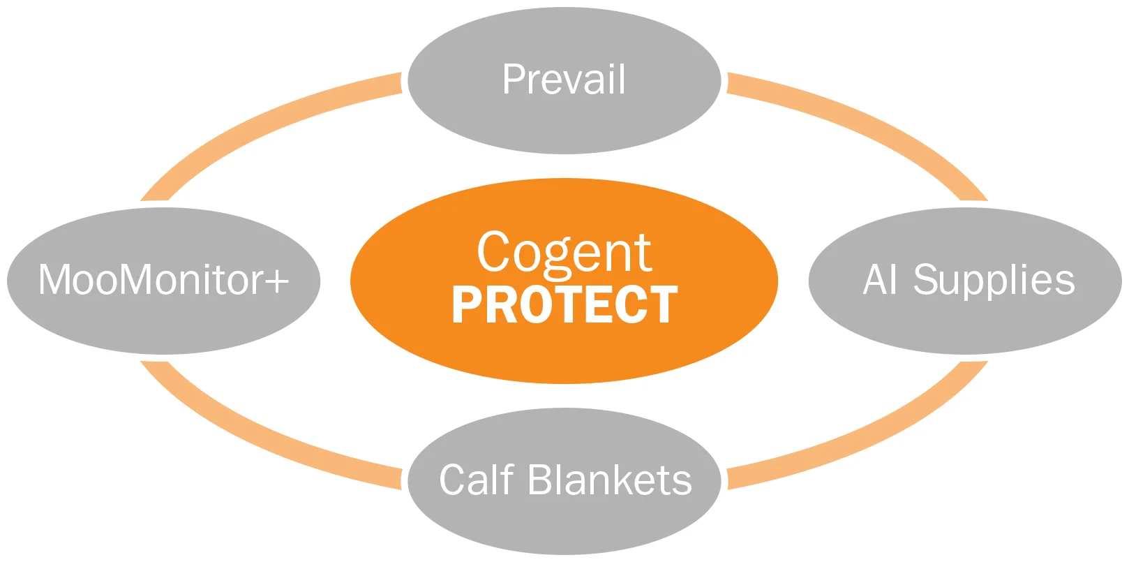 Precision Protect - Cogent Canada Diagram