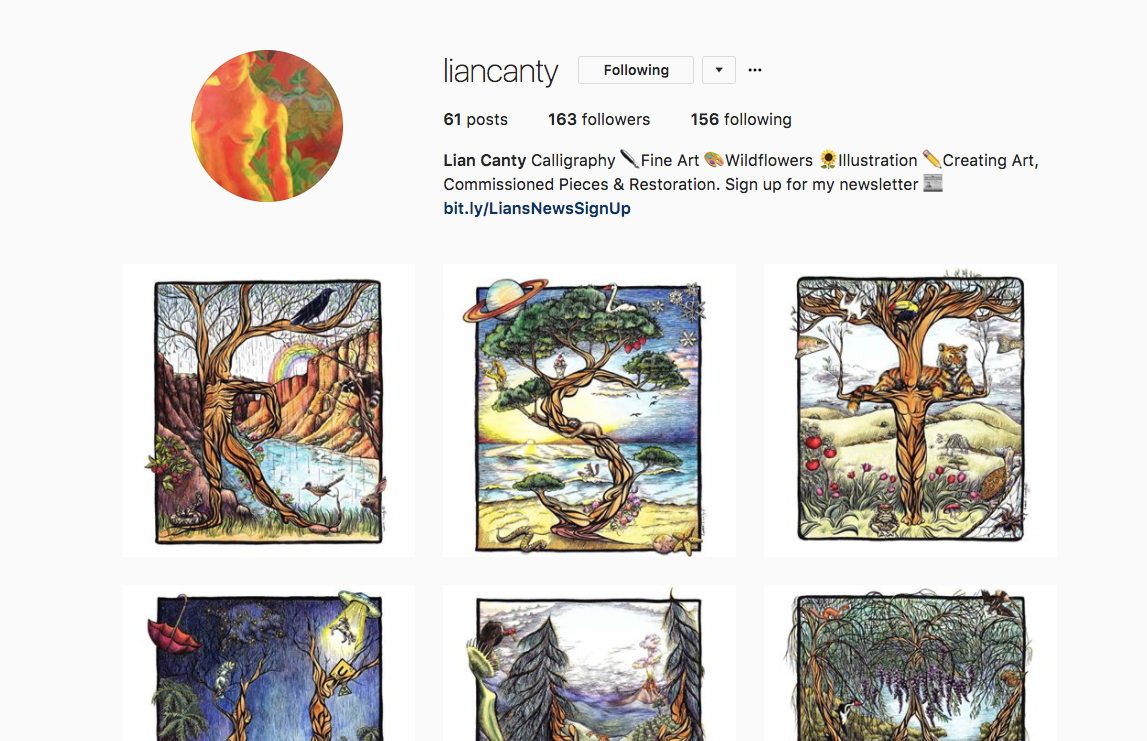 LIAN CANTY ARTIST