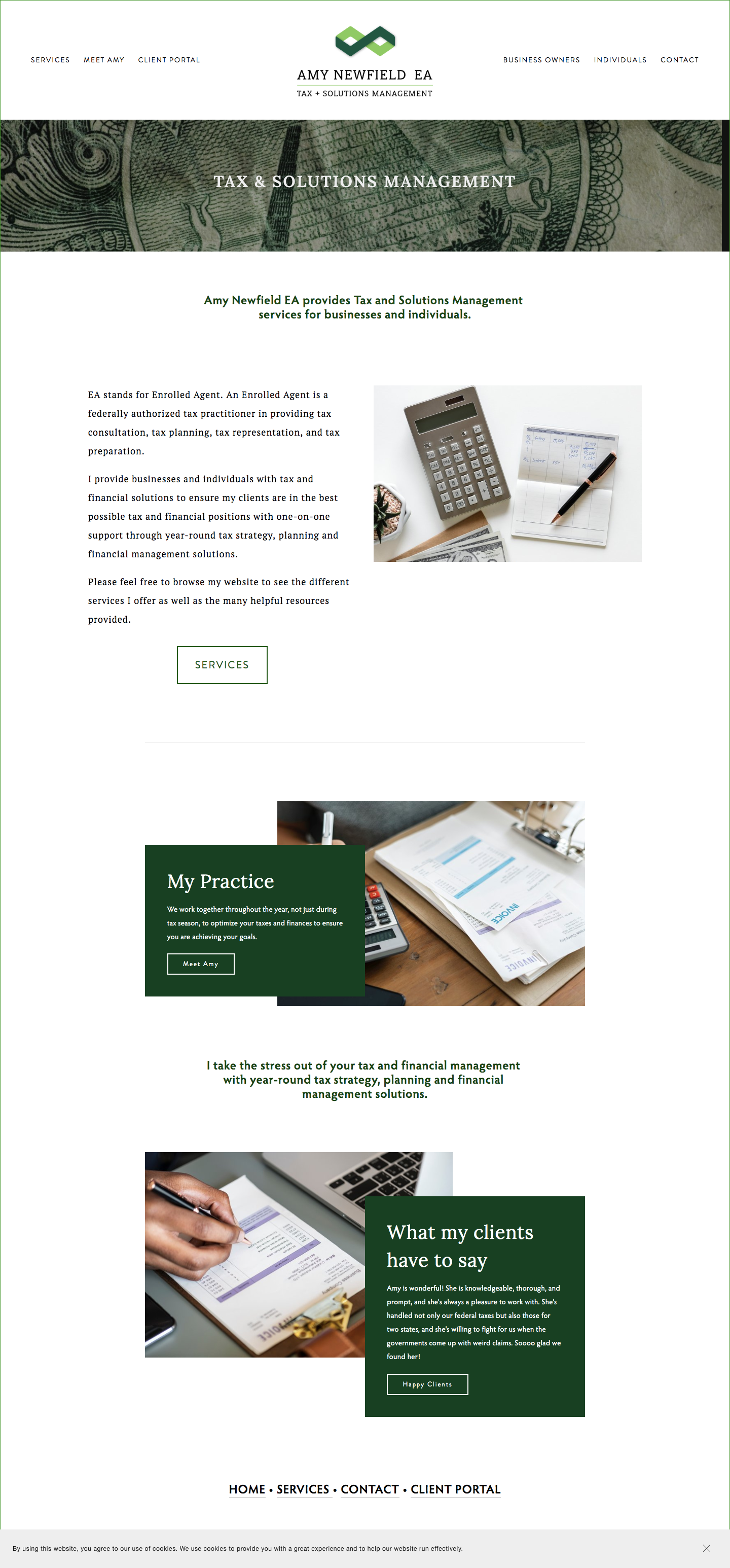 Accounting Website Design