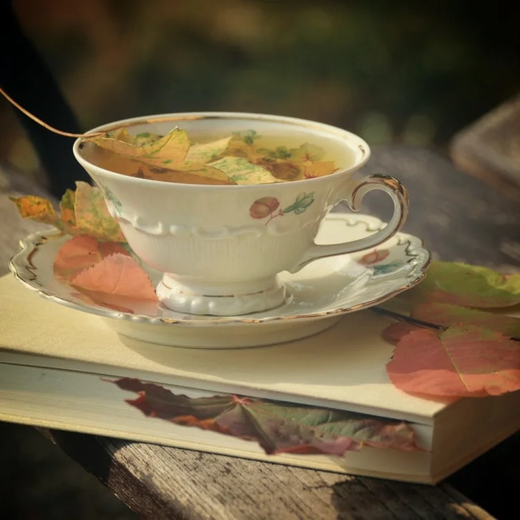 Favorite fall diy decor ideas.