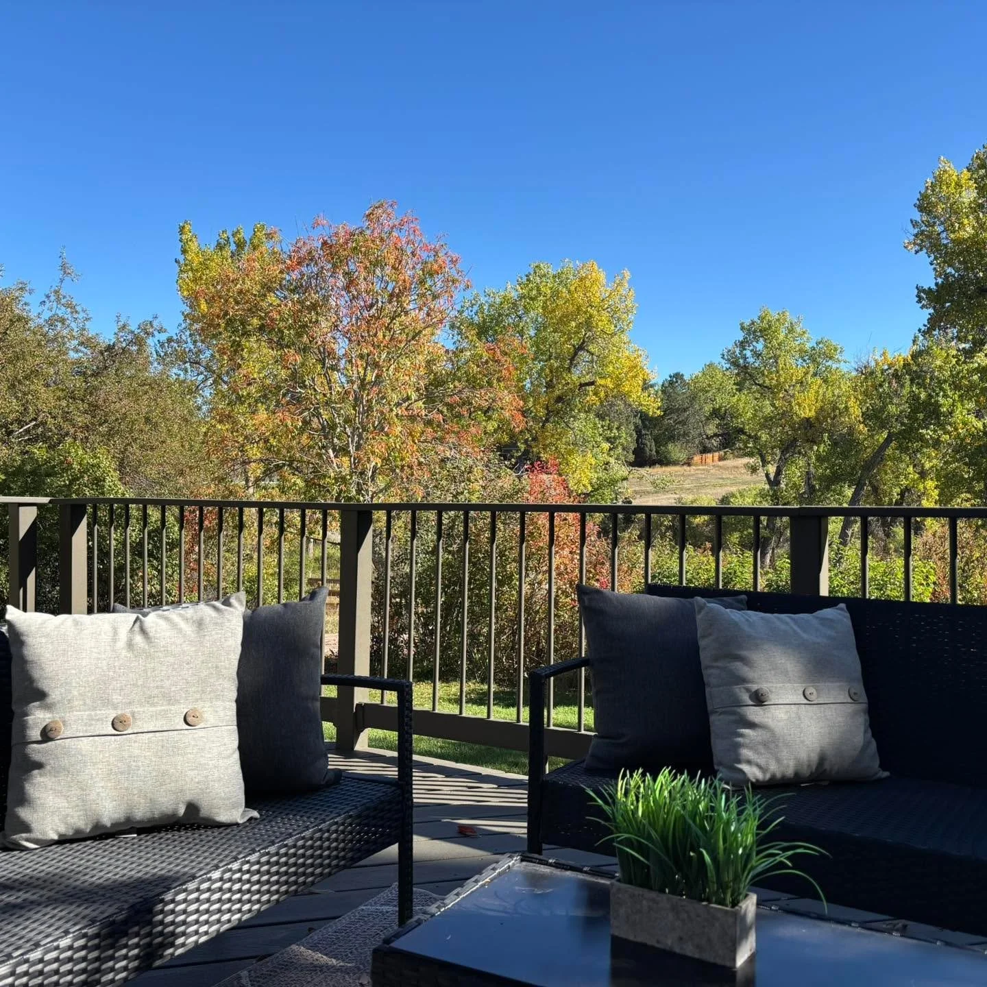 Fall is trying to hold on just a little longer and I am loving it!! 🍁 

#5280magazine #acutedesigner #stagingworks #liveindenver #stagingsells #denverrealestate #girlboss #housetour #coloradorealtor #homesweethome #instahome #homestaging #denverdesi