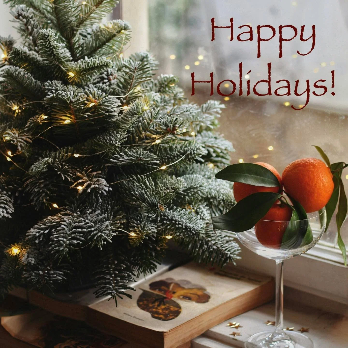 Merry Christmas and Happy New Year friends!! We wish you a joyful and restful holiday. We will be closed thru the holidays spending time with friends and family and resting up so we can be ready roll in the new year! See you all in 2026!! Cheers!

#5