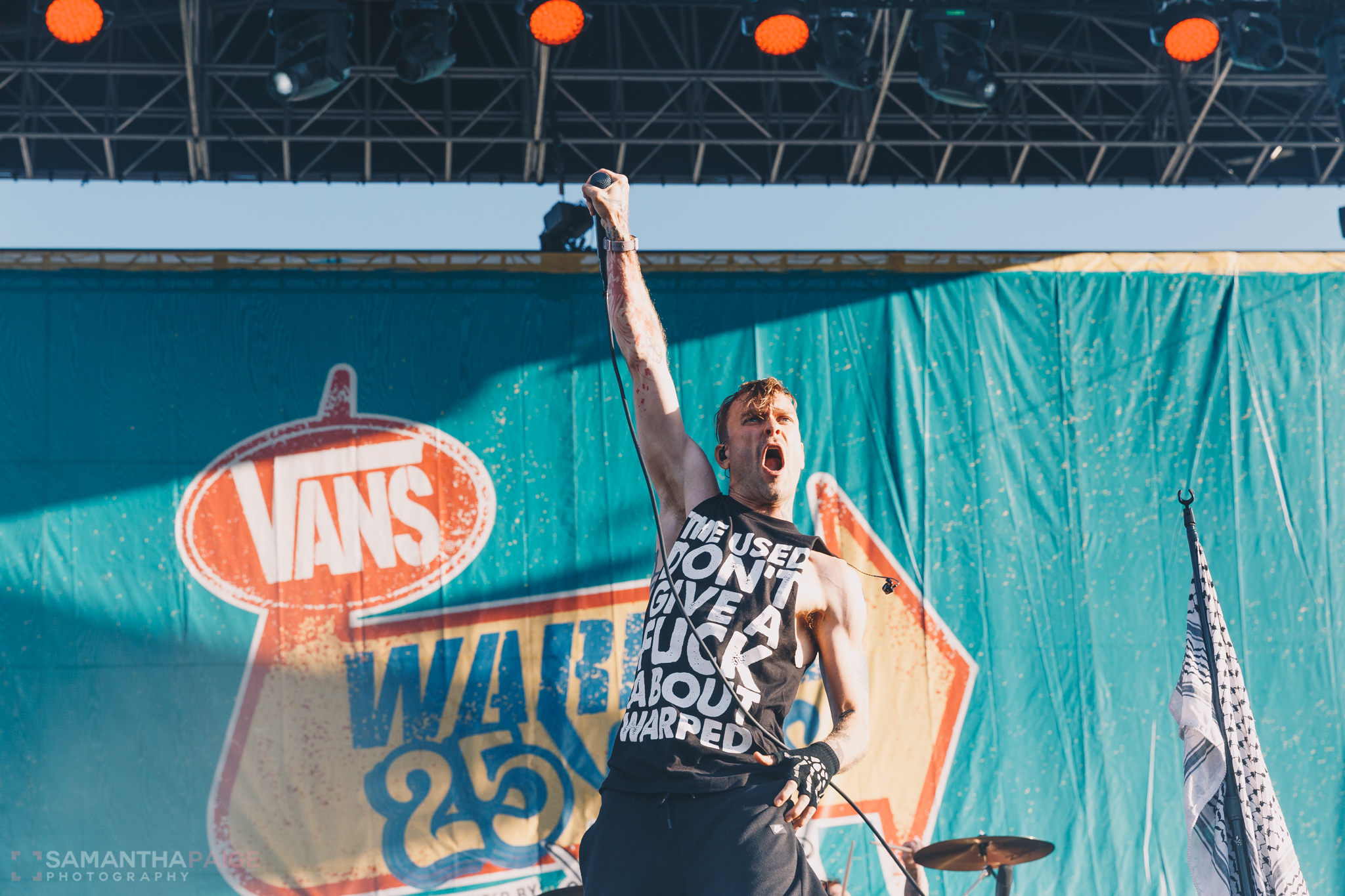 the used-8308.jpg