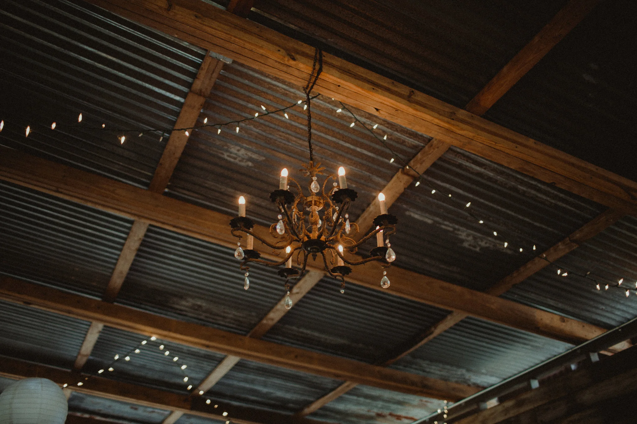 Outdoor Wedding Aisles And Ivy Wedding Photographers Aisles