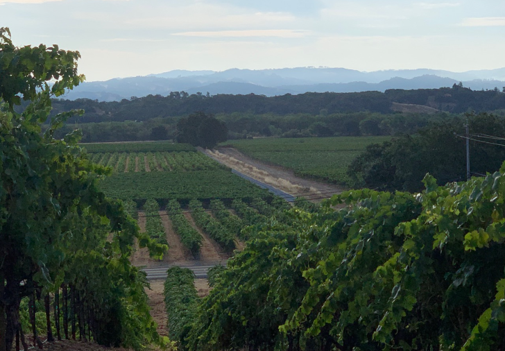 Once & Future Winemakers Dinner
