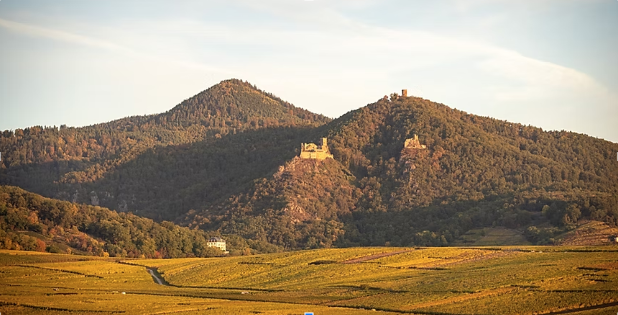 Screen Shot 2025-08-14 at 2.02.53 PM.png