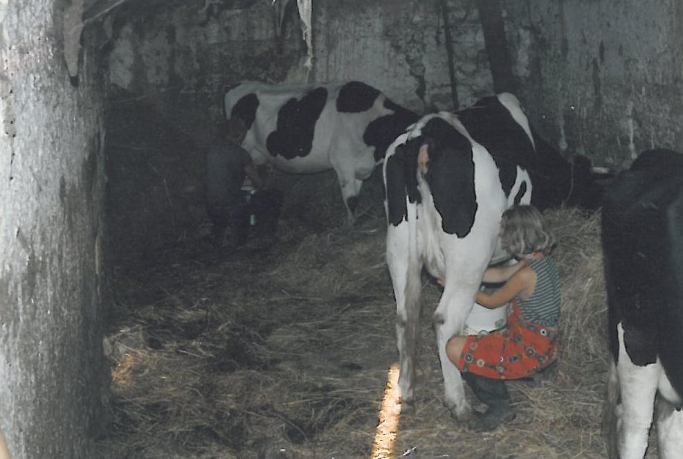 F17 Delia lernt das Melken im ersten Kuhstall.jpg