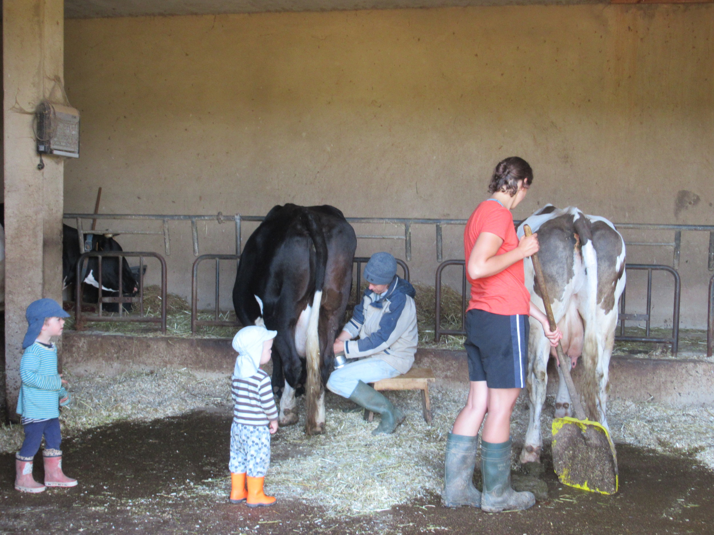 Landwirtschaft4.JPG